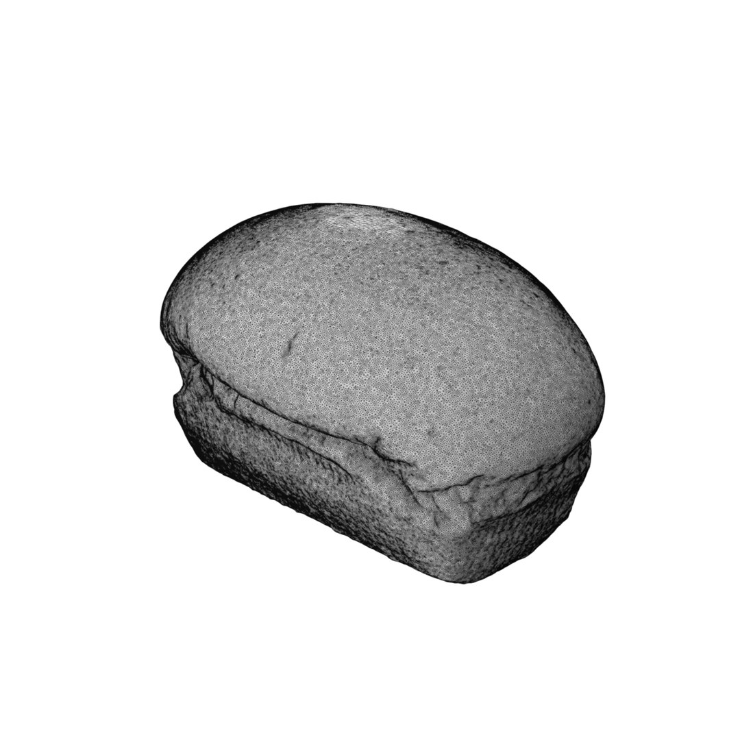 3D Bun https://p.turbosquid.com/ts-thumb/zV/k2wB5m/Lw/555555444/jpg/1745151672/1920x1080/fit_q87/a7c8614a9a1541fcc7c8a2f4cf841d8dfb05744e/555555444.jpg