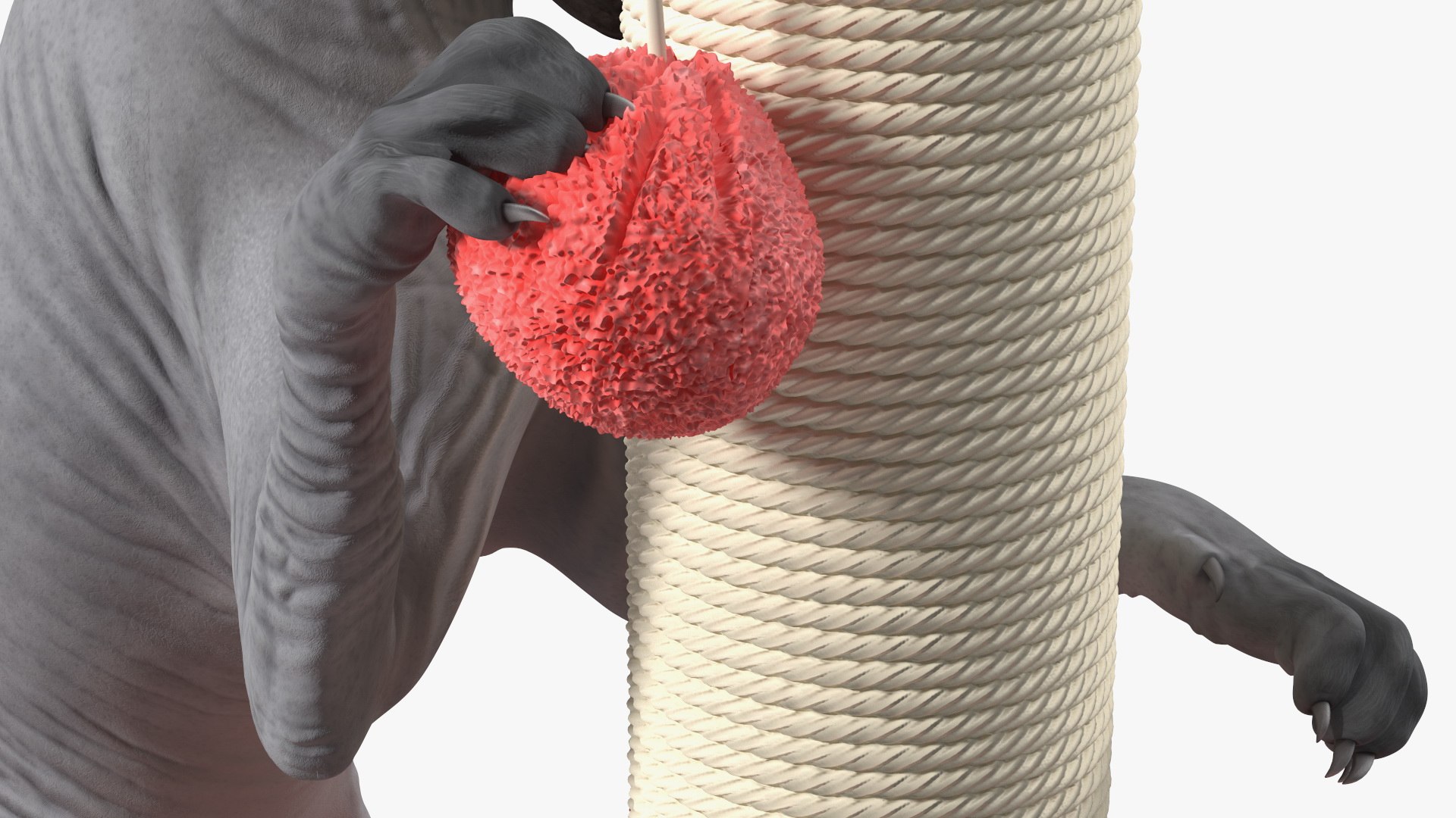 Cat Playing With A Red Scratching Post Rigged for Modo 3D https://p.turbosquid.com/ts-thumb/zV/nwaE5L/4e/catplayingwitharedscratchingpostriggedmb3dmodel022/jpg/1638201009/1920x1080/fit_q87/96e10f83ea5f861f8c922a9d29719d8e558811f3/catplayingwitharedscratchingpostriggedmb3dmodel022.jpg