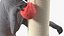 Cat Playing With A Red Scratching Post Rigged for Modo