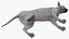 Cat Playing With A Red Scratching Post Rigged for Modo
