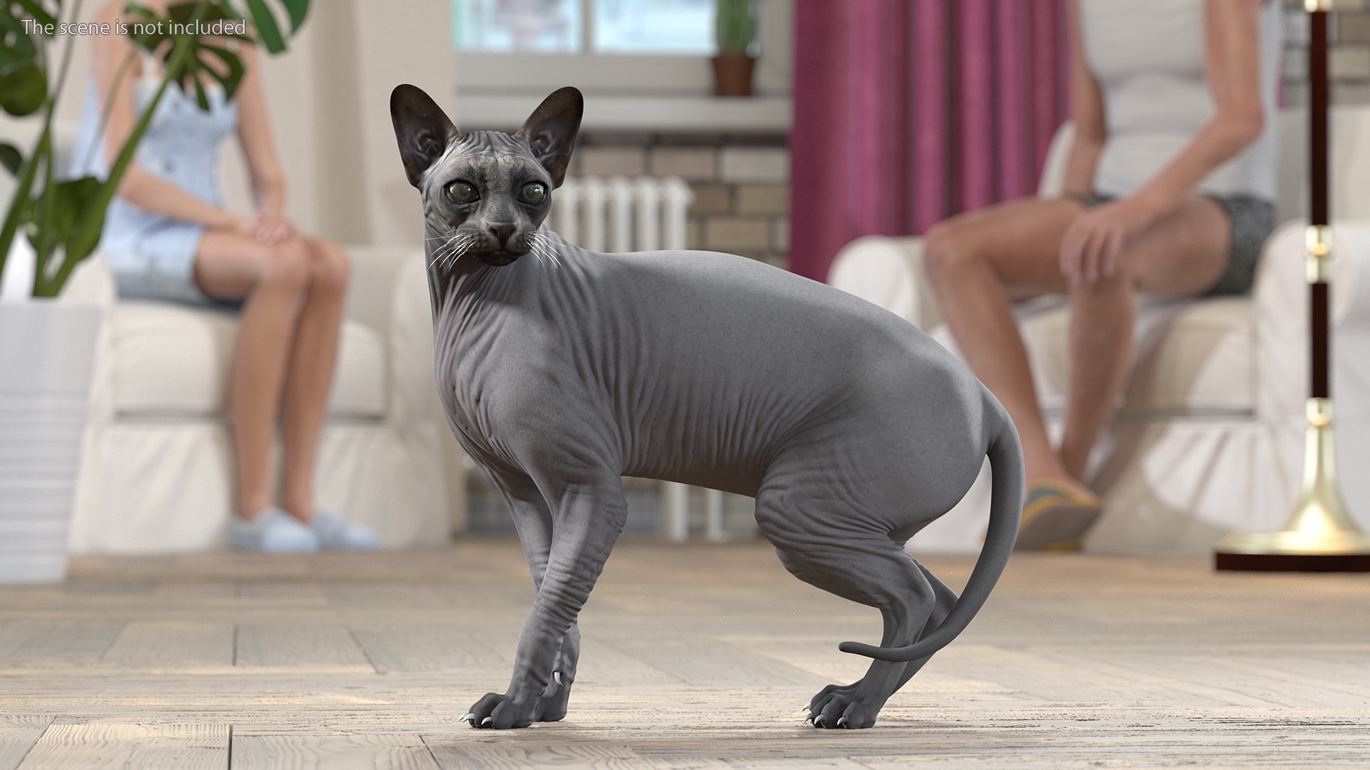 Cat Playing With A Red Scratching Post Rigged for Modo 3D https://p.turbosquid.com/ts-thumb/zV/nwaE5L/Mo/catplayingwitharedscratchingpostriggedmb3dmodel009/jpg/1638200969/1920x1080/fit_q87/99ef1eff7c822577e6cab628320da6fc32a47f5a/catplayingwitharedscratchingpostriggedmb3dmodel009.jpg