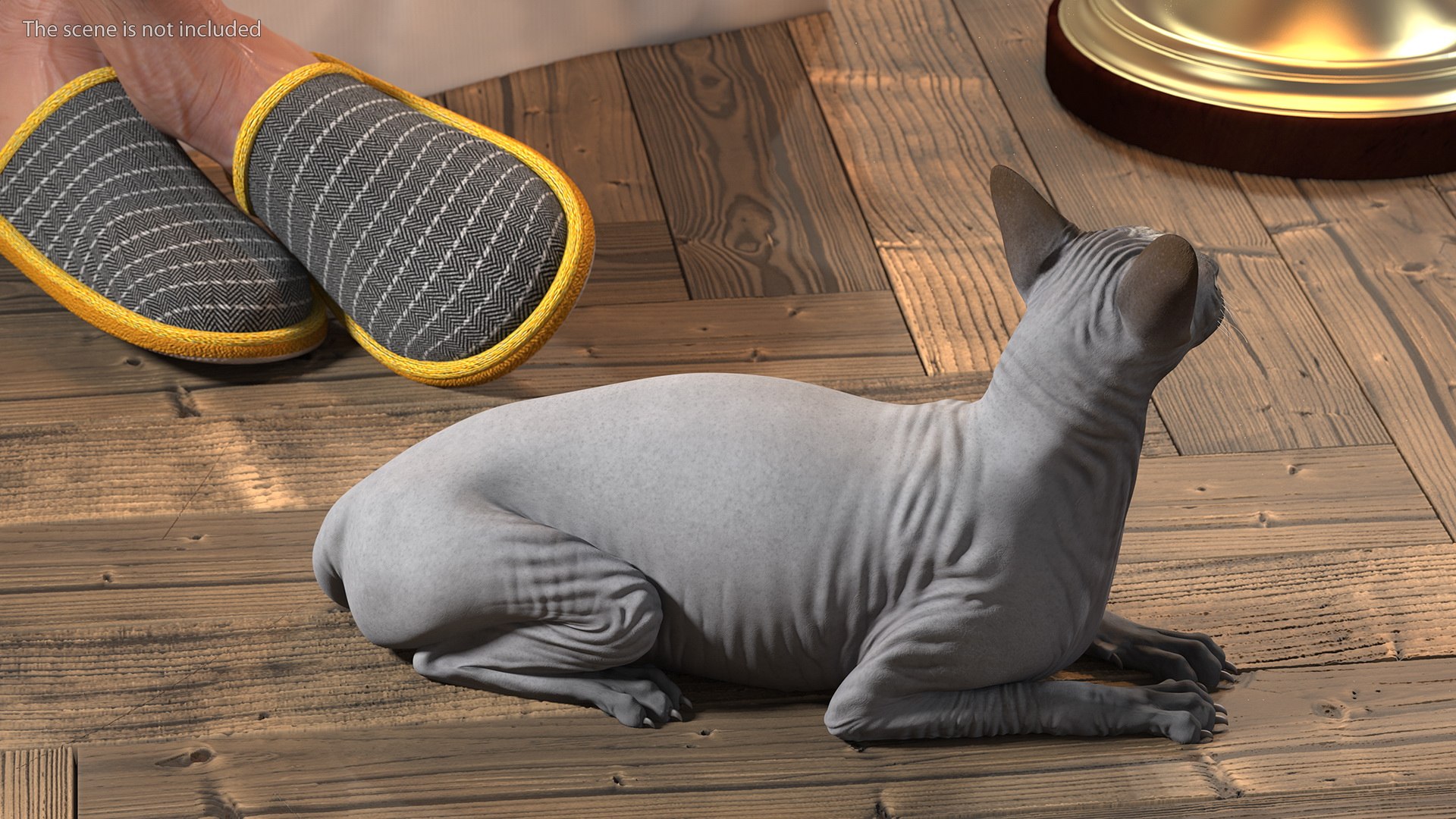 Cat Playing With A Red Scratching Post Rigged for Modo 3D https://p.turbosquid.com/ts-thumb/zV/nwaE5L/Zw/catplayingwitharedscratchingpostriggedmb3dmodel014/jpg/1638200984/1920x1080/fit_q87/65cfcc05163290f8b3fe49cf8a24a20cb66377ea/catplayingwitharedscratchingpostriggedmb3dmodel014.jpg