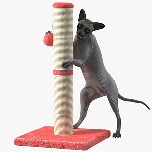 Cat Playing With A Red Scratching Post Rigged for Modo 3D