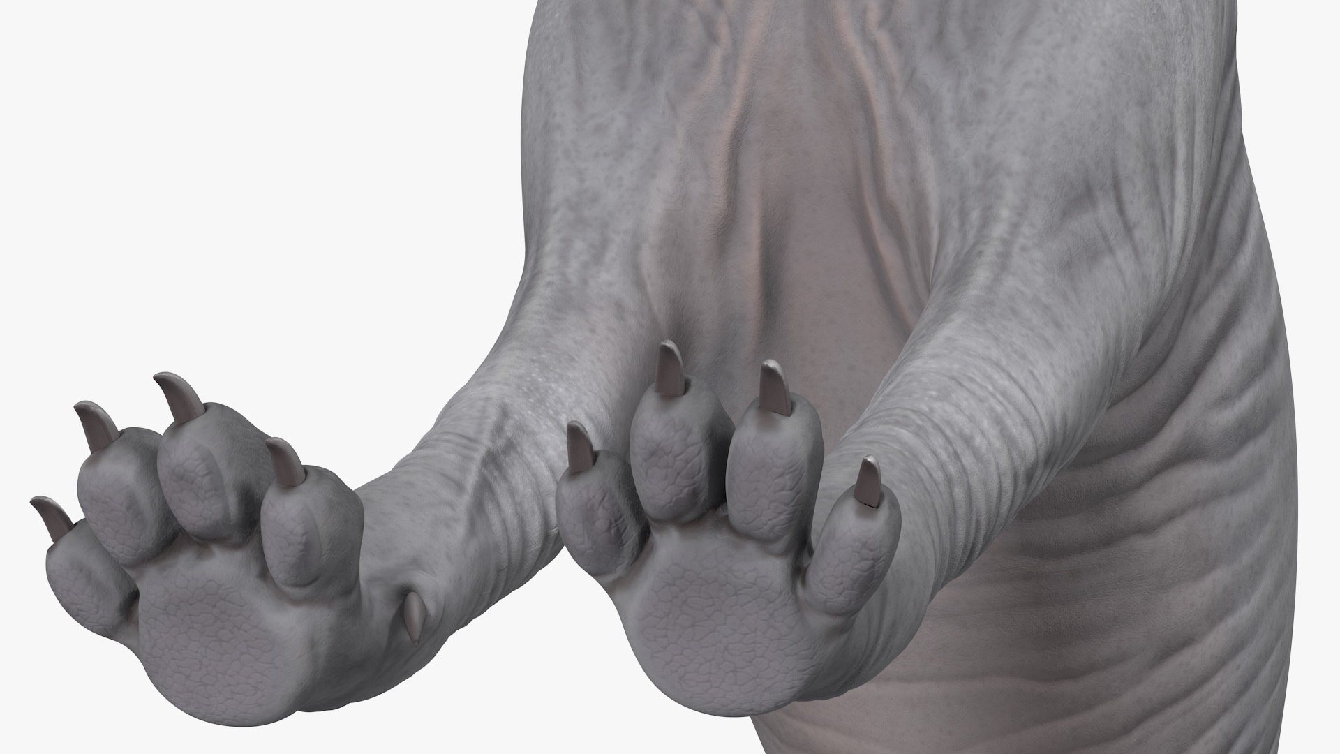 Cat Playing With A Red Scratching Post Rigged for Modo 3D https://p.turbosquid.com/ts-thumb/zV/nwaE5L/f7/catplayingwitharedscratchingpostriggedmb3dmodel031/jpg/1638201034/1920x1080/fit_q87/b4e5109a06f09616bab3bcd4a1e692f69d76f414/catplayingwitharedscratchingpostriggedmb3dmodel031.jpg