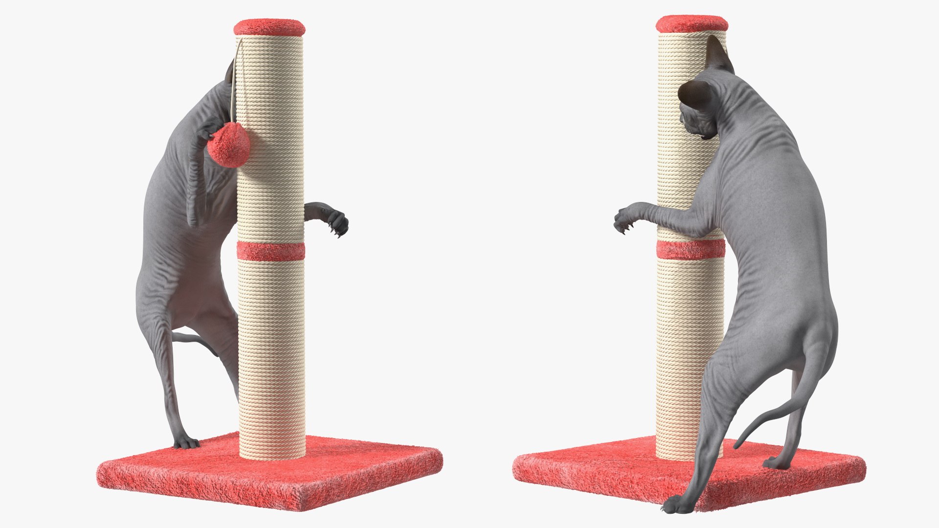Cat Playing With A Red Scratching Post Rigged for Modo 3D https://p.turbosquid.com/ts-thumb/zV/nwaE5L/qK/catplayingwitharedscratchingpostriggedmb3dmodel018/jpg/1638200997/1920x1080/fit_q87/4a9c821ec602bd3488ebc0a33ec6a7374a355c3a/catplayingwitharedscratchingpostriggedmb3dmodel018.jpg