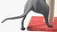 Cat Playing With A Red Scratching Post Rigged for Modo