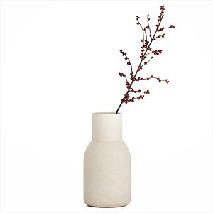 Bouquet Flowers Branches Red Berries Ilex Holly 533 model