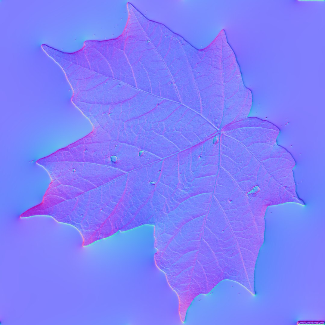 3d Realistic Leaf