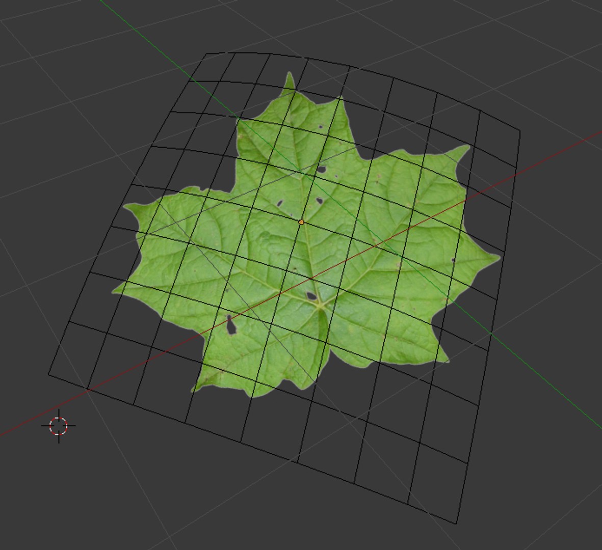 3d Realistic Leaf