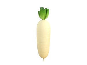 3D white radish