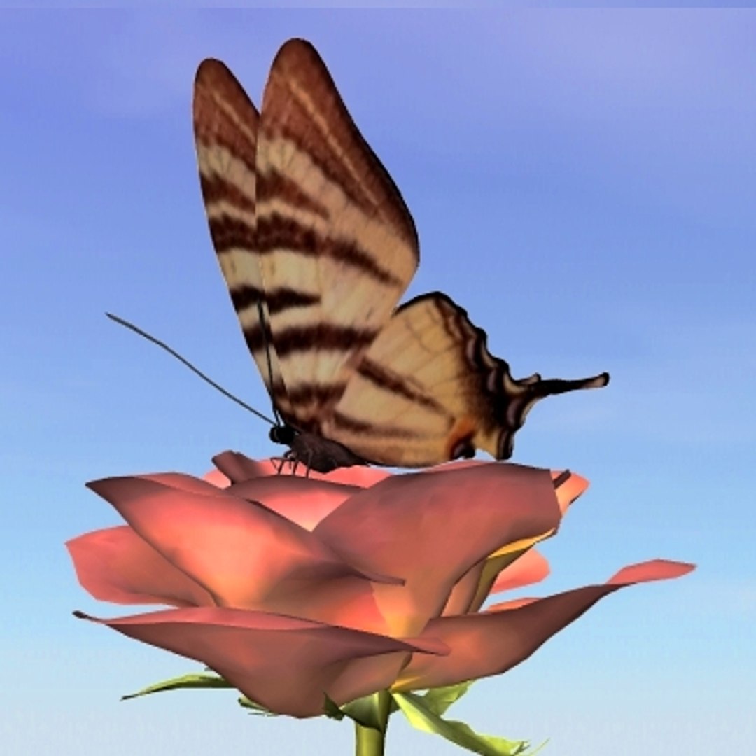 3d butterfly scarce swallowtail https://p.turbosquid.com/ts-thumb/zW/25v59a/GMbYZGG0/scarceswallowtail3/jpg/1020114590/1920x1080/fit_q87/a07f4bd00fa50bf5e1a512395715038b4308d14c/scarceswallowtail3.jpg