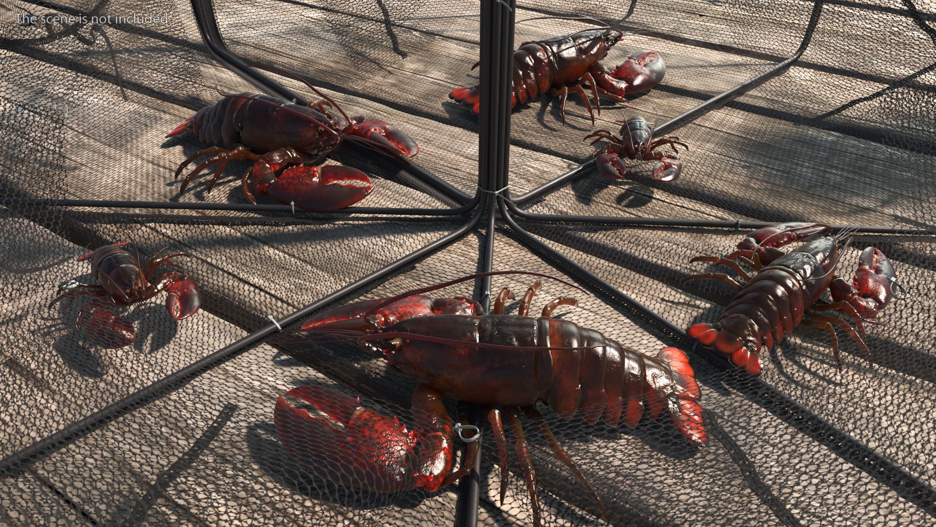 Hexagonal Lobster Net Trap and Live Lobsters model https://p.turbosquid.com/ts-thumb/zW/ANTxSj/0b/hexagonal_lobster_net_trap_and_live_lobsters_005/jpg/1743606706/1920x1080/fit_q87/629dc2646d4ecf65559bdbae1345dbf2182ccd9f/hexagonal_lobster_net_trap_and_live_lobsters_005.jpg
