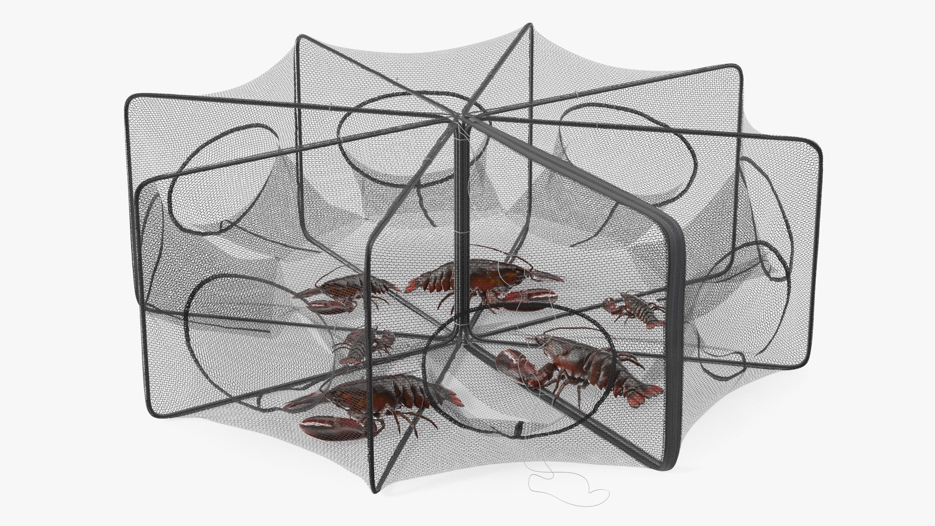 Hexagonal Lobster Net Trap and Live Lobsters 3D model preview
