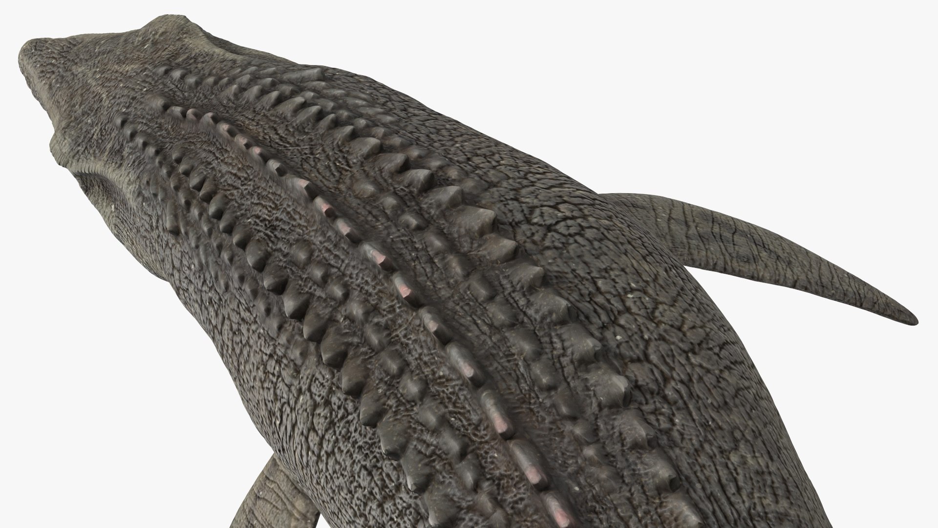 3D Mosasaurus Attack https://p.turbosquid.com/ts-thumb/zW/AtoYGe/3M/mosasaurusattackvray3dmodel016/jpg/1656127105/1920x1080/fit_q87/86c33a4d5779f703ef1e5504852ad8fb52c9079b/mosasaurusattackvray3dmodel016.jpg