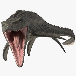 3D Mosasaurus Attack