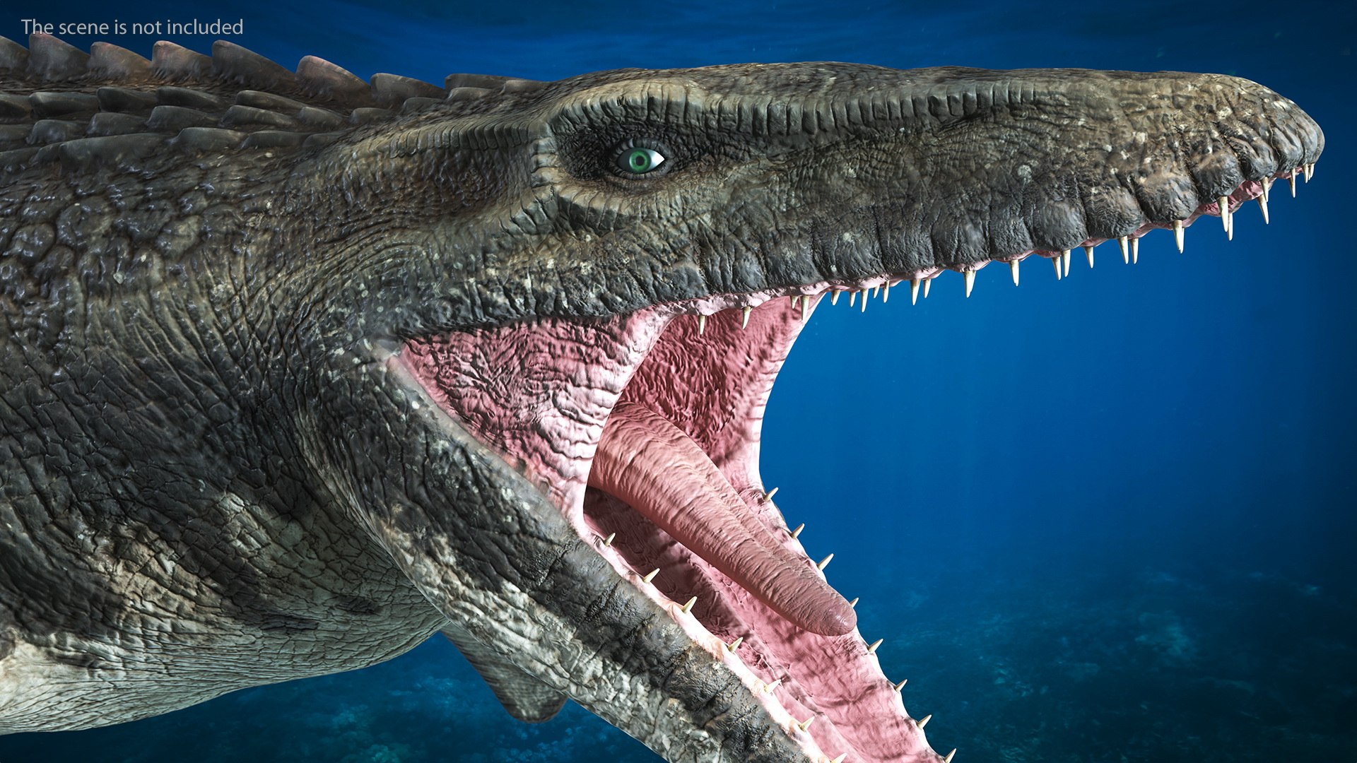 3D Mosasaurus Attack - TurboSquid 1918617