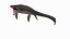 Mosasaurus Attack
