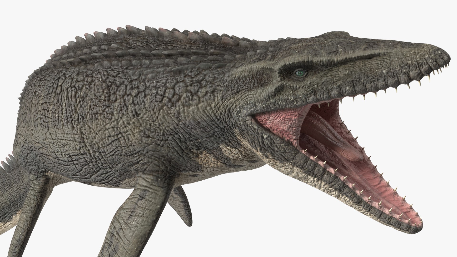 3D Mosasaurus Attack https://p.turbosquid.com/ts-thumb/zW/AtoYGe/pG/mosasaurusattackvray3dmodel014/jpg/1656127099/1920x1080/fit_q87/b8d4825bcb4c1f1fdb2d67d1ace61fadba03d3b4/mosasaurusattackvray3dmodel014.jpg