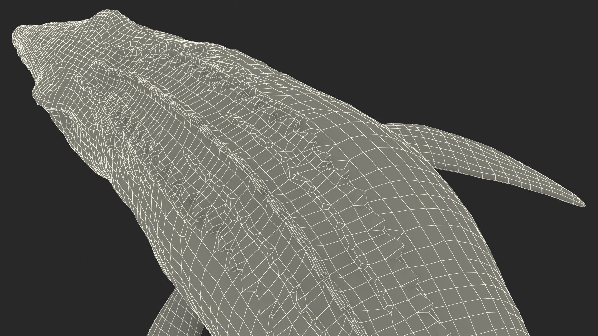 3D Mosasaurus Attack https://p.turbosquid.com/ts-thumb/zW/AtoYGe/vb/mosasaurusattackvray3dmodel026/jpg/1656127136/1920x1080/fit_q87/d17ae2bc715f1c43d1acb7acefa146ad009d6505/mosasaurusattackvray3dmodel026.jpg