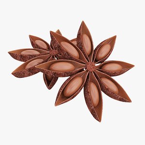 3D Anise model