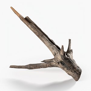 3D Branch Scanned 4 StemCell