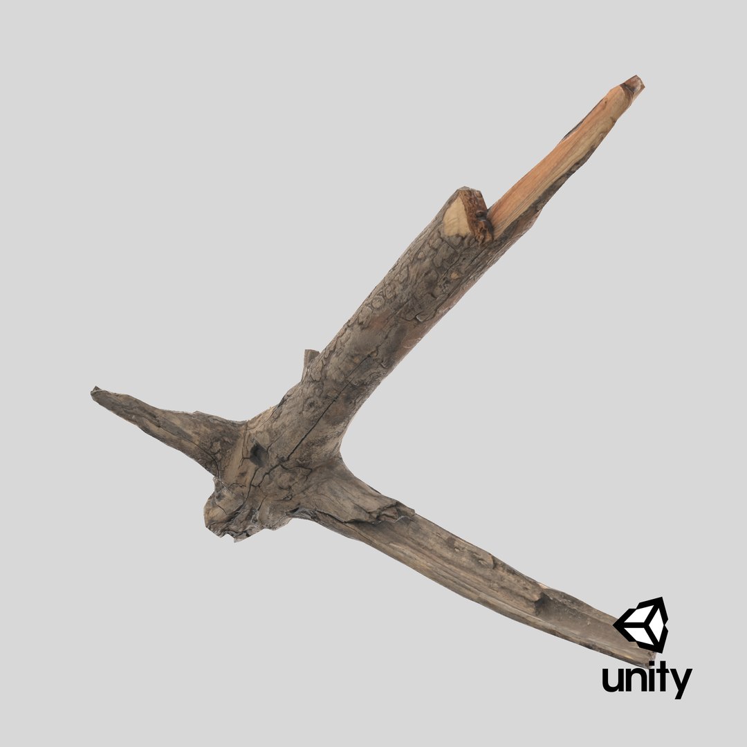 3D Branch Scanned 4 StemCell https://p.turbosquid.com/ts-thumb/zW/PF39nV/mS/stemcell_unity_render/png/1727791854/1920x1080/fit_q87/dd0493a0de74d0d9c4d145c37181224c1cd42b62/stemcell_unity_render.jpg