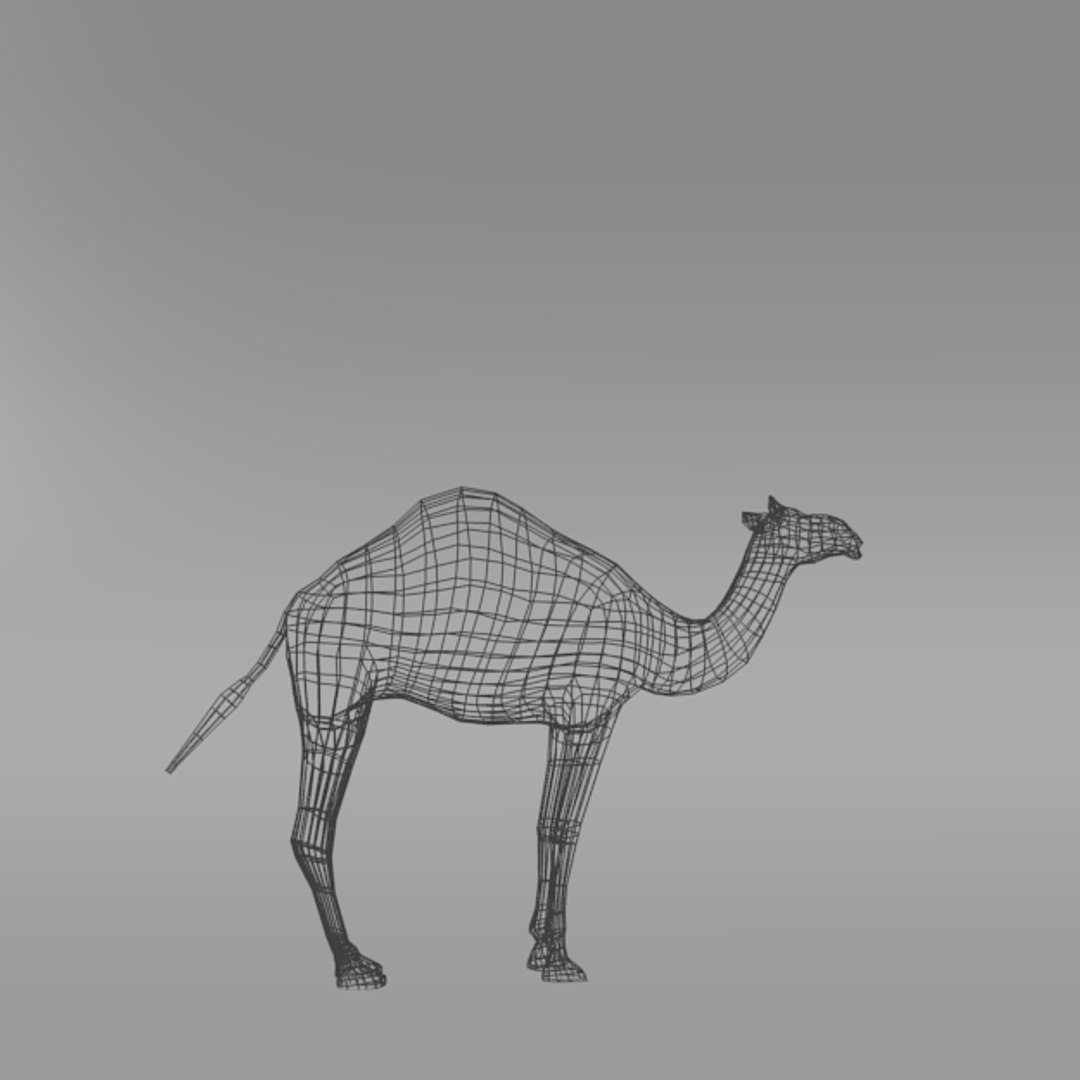 3D camel https://p.turbosquid.com/ts-thumb/zW/TvtZ3o/XZZq2kFW/camell_side_realistic_wire/png/1534178562/1920x1080/fit_q87/622af62f3082d6c2811d1189299ed95fe6e2d85c/camell_side_realistic_wire.jpg