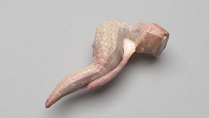 Chicken Wing 3D model