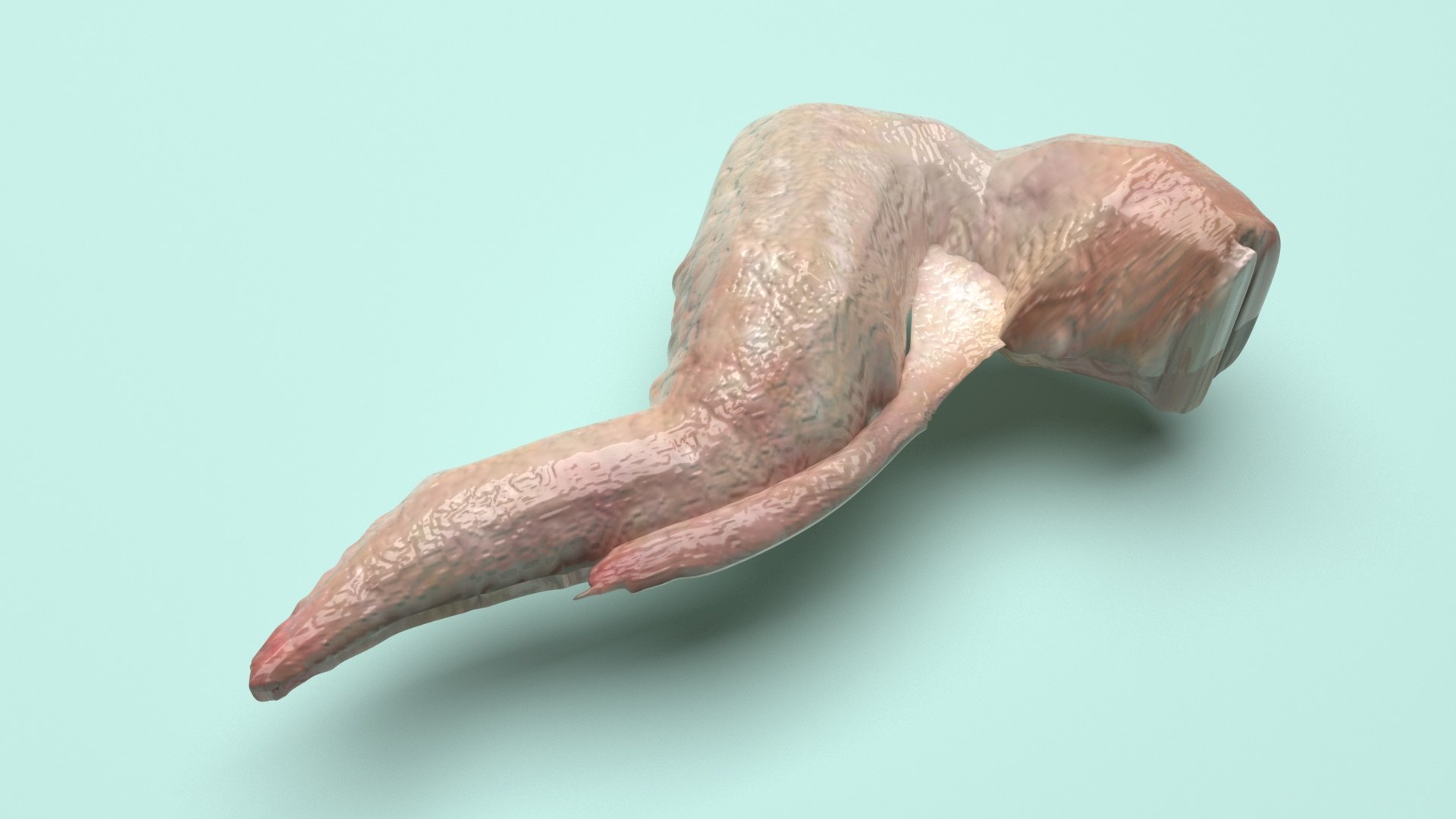 Chicken Wing 3D Model - TurboSquid 2249634