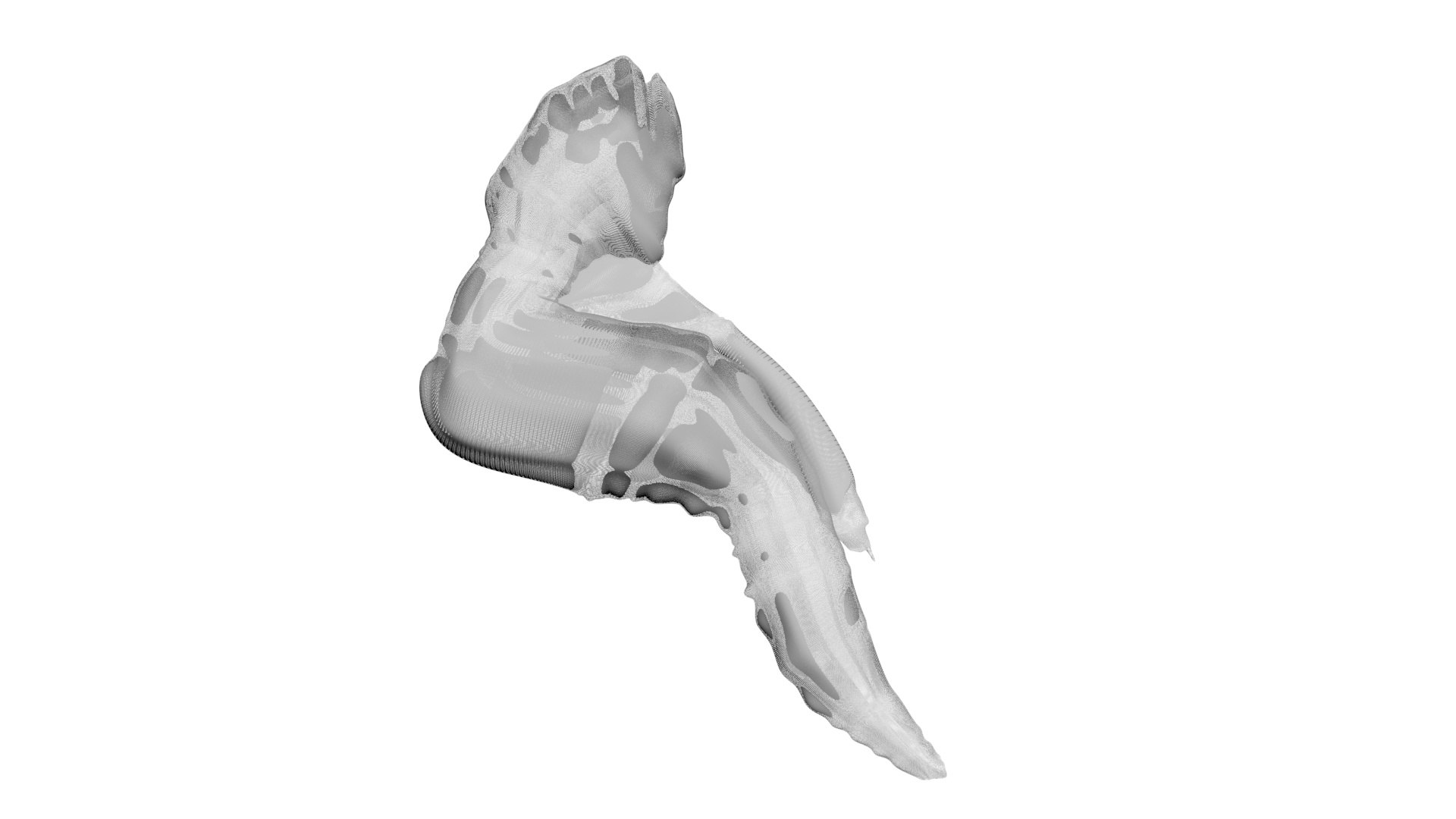 Chicken Wing 3D Model - TurboSquid 2249634