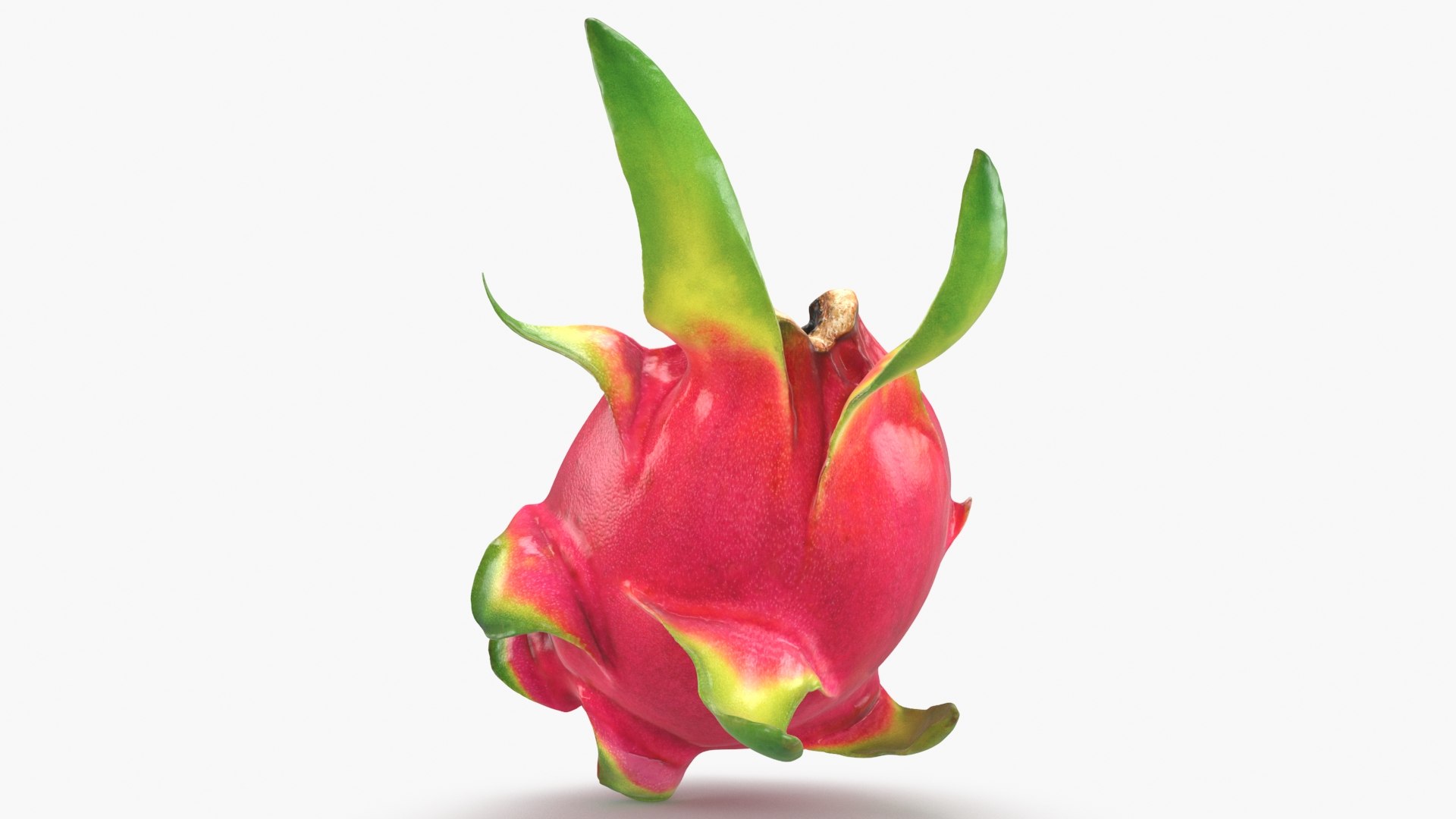 3D Half Dragon Fruit 02 Color 2 https://p.turbosquid.com/ts-thumb/zW/oiUQjy/37/dragonfruithalf_02_b0012/jpg/1688367013/1920x1080/fit_q87/3df702cb4fd0859883238e28bc83ae1662d8efbb/dragonfruithalf_02_b0012.jpg