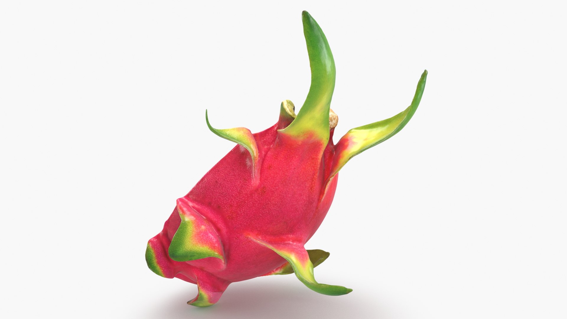 3D Half Dragon Fruit 02 Color 2 https://p.turbosquid.com/ts-thumb/zW/oiUQjy/7L/dragonfruithalf_02_b0008/jpg/1688367012/1920x1080/fit_q87/be0c6c443ca6fa47c409997f85d474355c52c5d7/dragonfruithalf_02_b0008.jpg