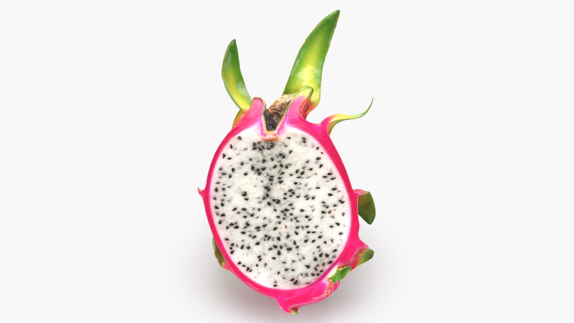 3D Half Dragon Fruit 02 Color 2 https://p.turbosquid.com/ts-thumb/zW/oiUQjy/GT/dragonfruithalf_02_b0002/jpg/1688367009/1920x1080/fit_q87/9368dbd25b62e048ea588cae8889ef17bedb0e94/dragonfruithalf_02_b0002.jpg