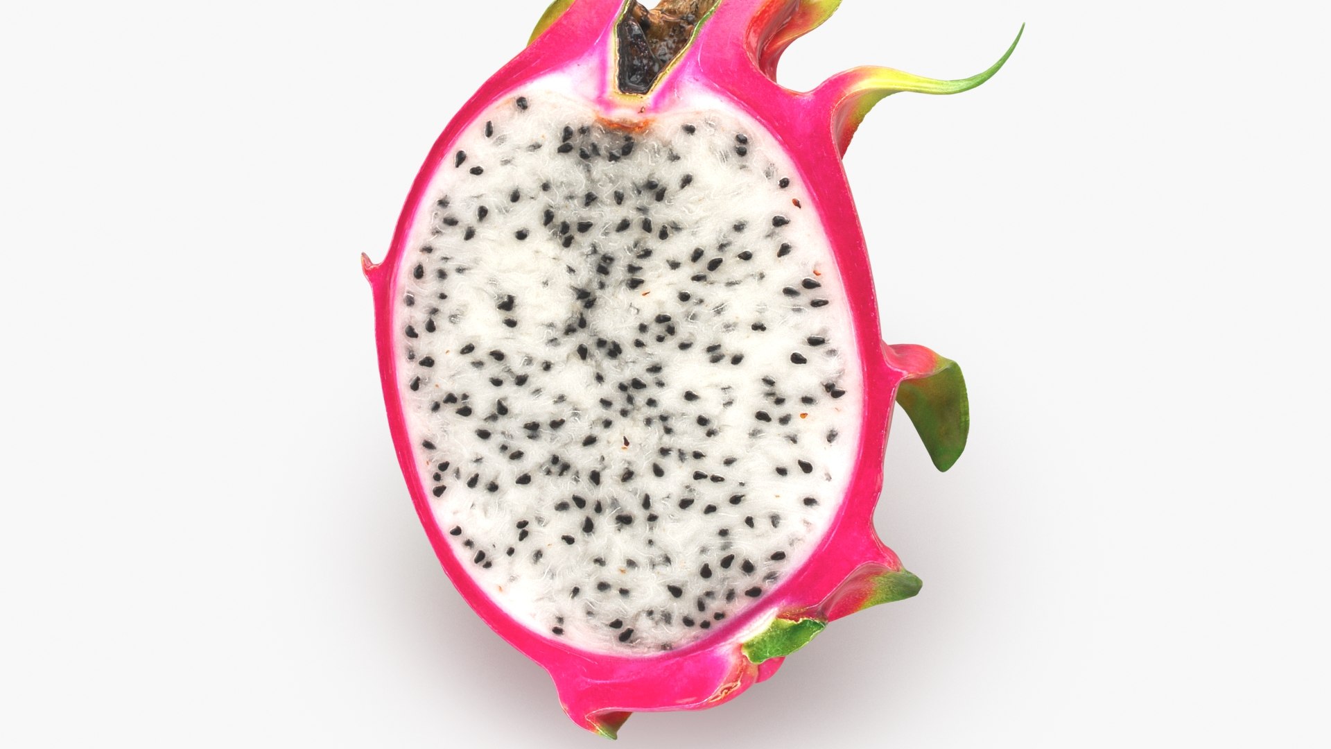3D Half Dragon Fruit 02 Color 2 https://p.turbosquid.com/ts-thumb/zW/oiUQjy/Md/dragonfruithalf_02_b0014/jpg/1688367015/1920x1080/fit_q87/cf1da6c431d0acf891ecffd75f786166b0f49328/dragonfruithalf_02_b0014.jpg