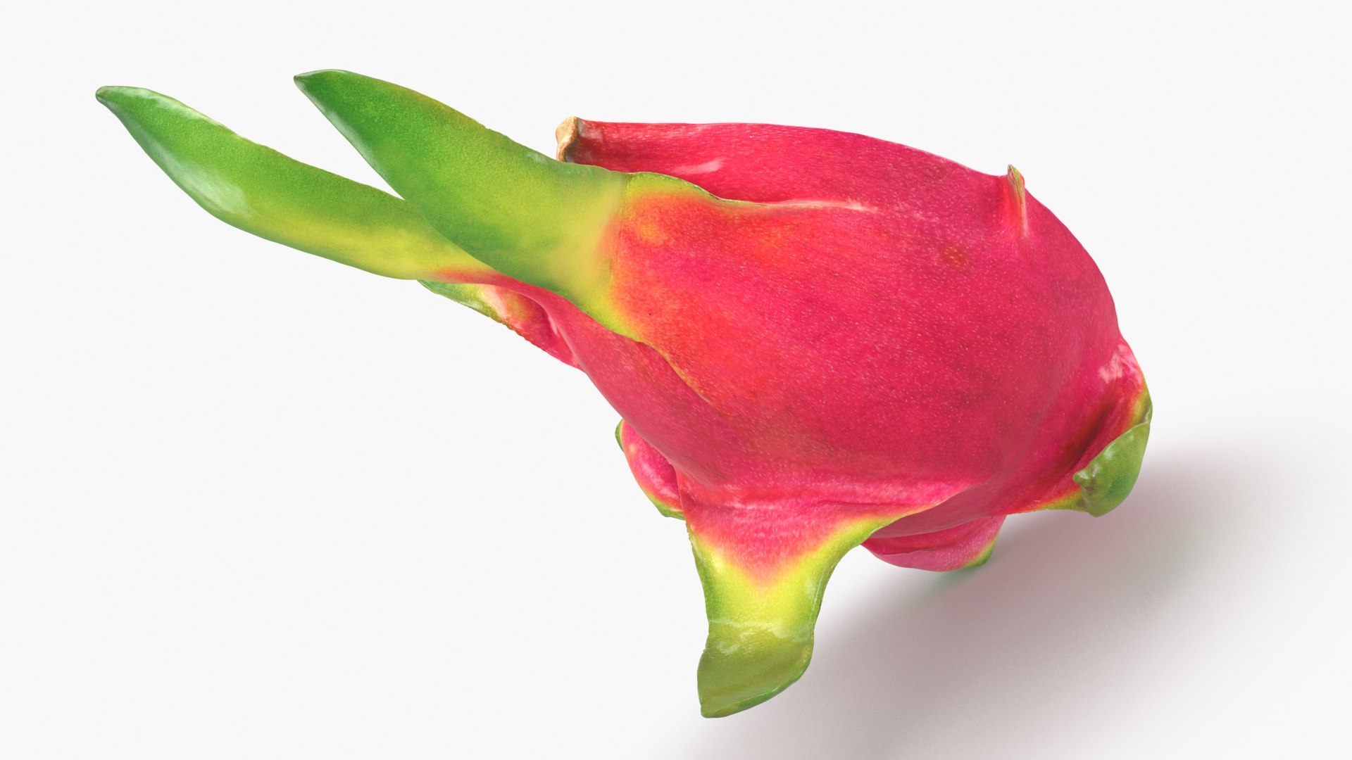 3D Half Dragon Fruit 02 Color 2 https://p.turbosquid.com/ts-thumb/zW/oiUQjy/Xb/dragonfruithalf_02_b0016/jpg/1688367016/1920x1080/fit_q87/153c84f764f0464ba0bd46260e37681f6d24560d/dragonfruithalf_02_b0016.jpg