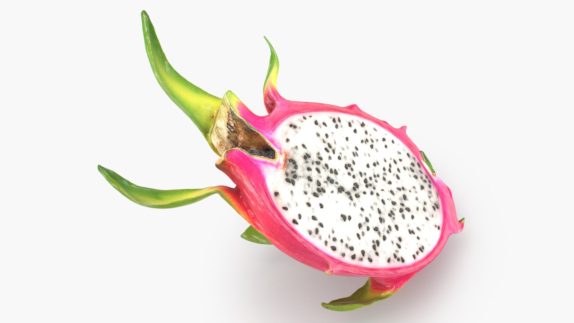 3D Half Dragon Fruit 02 Color 2 https://p.turbosquid.com/ts-thumb/zW/oiUQjy/nF/dragonfruithalf_02_b0018/jpg/1688367016/1920x1080/fit_q87/c0928fb397de2746988847ecb1f6347a964c1c94/dragonfruithalf_02_b0018.jpg