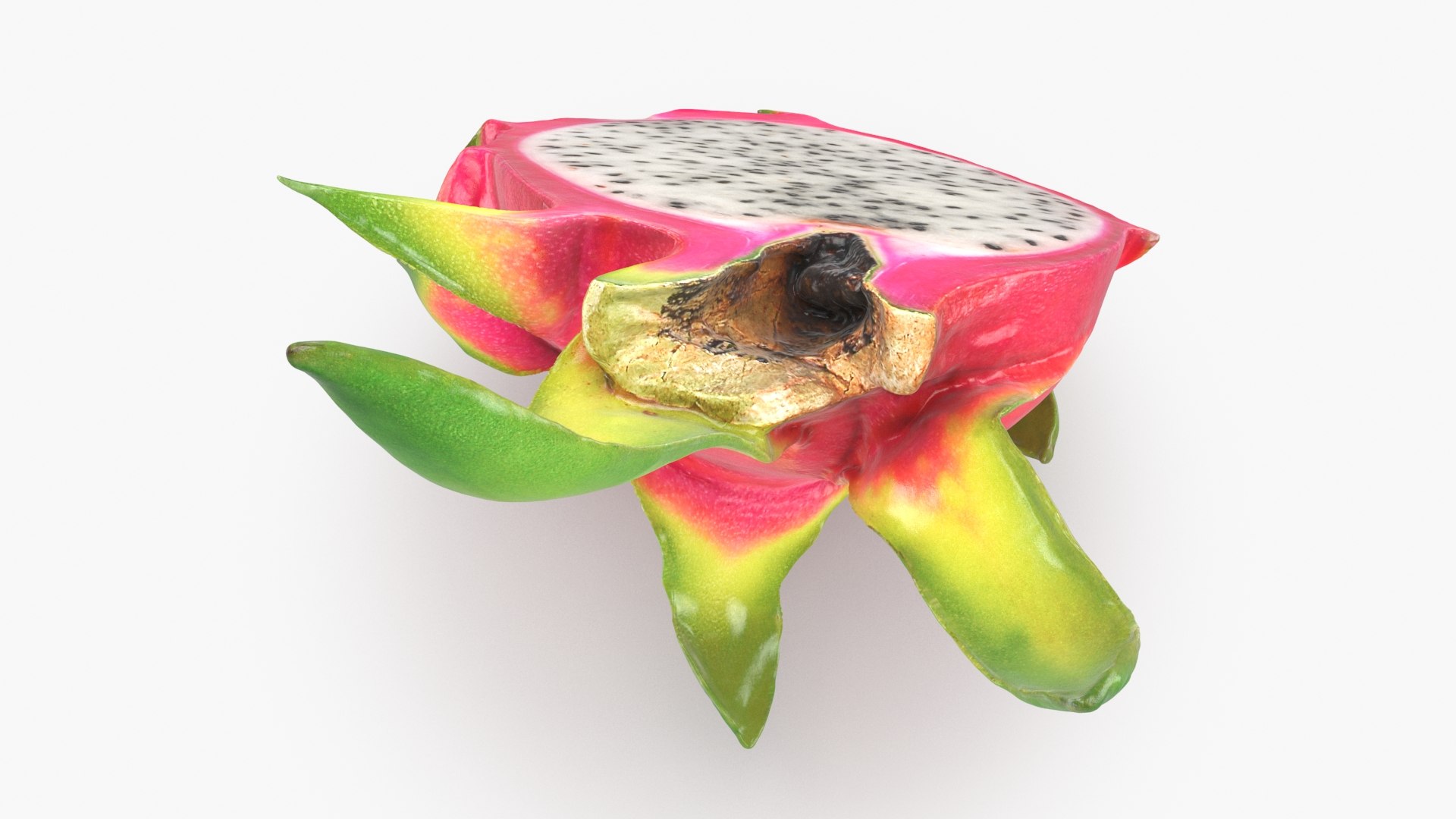 3D Half Dragon Fruit 02 Color 2 https://p.turbosquid.com/ts-thumb/zW/oiUQjy/pY/dragonfruithalf_02_b0004/jpg/1688367010/1920x1080/fit_q87/d8d36bf0c449bf901b03313aefe63af3654d0295/dragonfruithalf_02_b0004.jpg