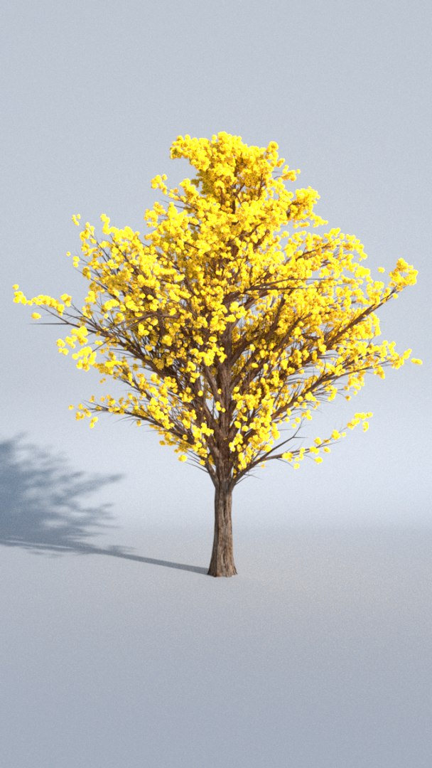 3d model of colorful tree