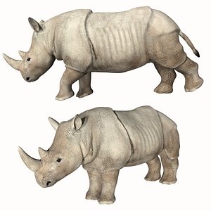 3D Rhino