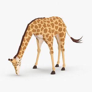 Giraffe Drinking