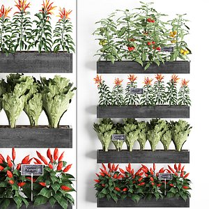 Decorative plants for the kitchen on wooden box 47