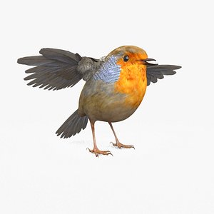 3D EUROPEAN ROBIN CGI BIRD REALISTIC