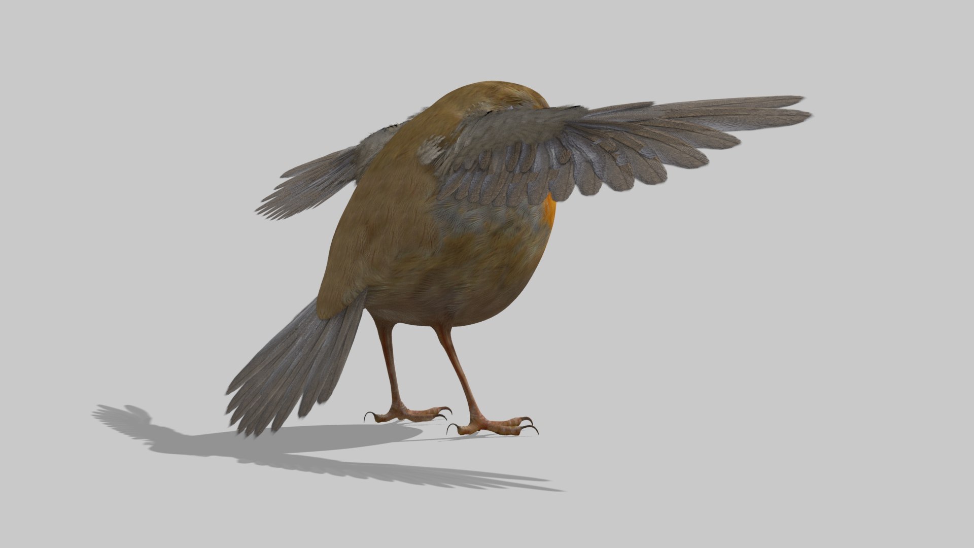 3D EUROPEAN ROBIN CGI BIRD REALISTIC https://p.turbosquid.com/ts-thumb/zX/mZFuAk/NQ/r5/jpg/1649553325/1920x1080/fit_q87/17678c779ad2c2d667fa52874829b32245b1f70b/r5.jpg