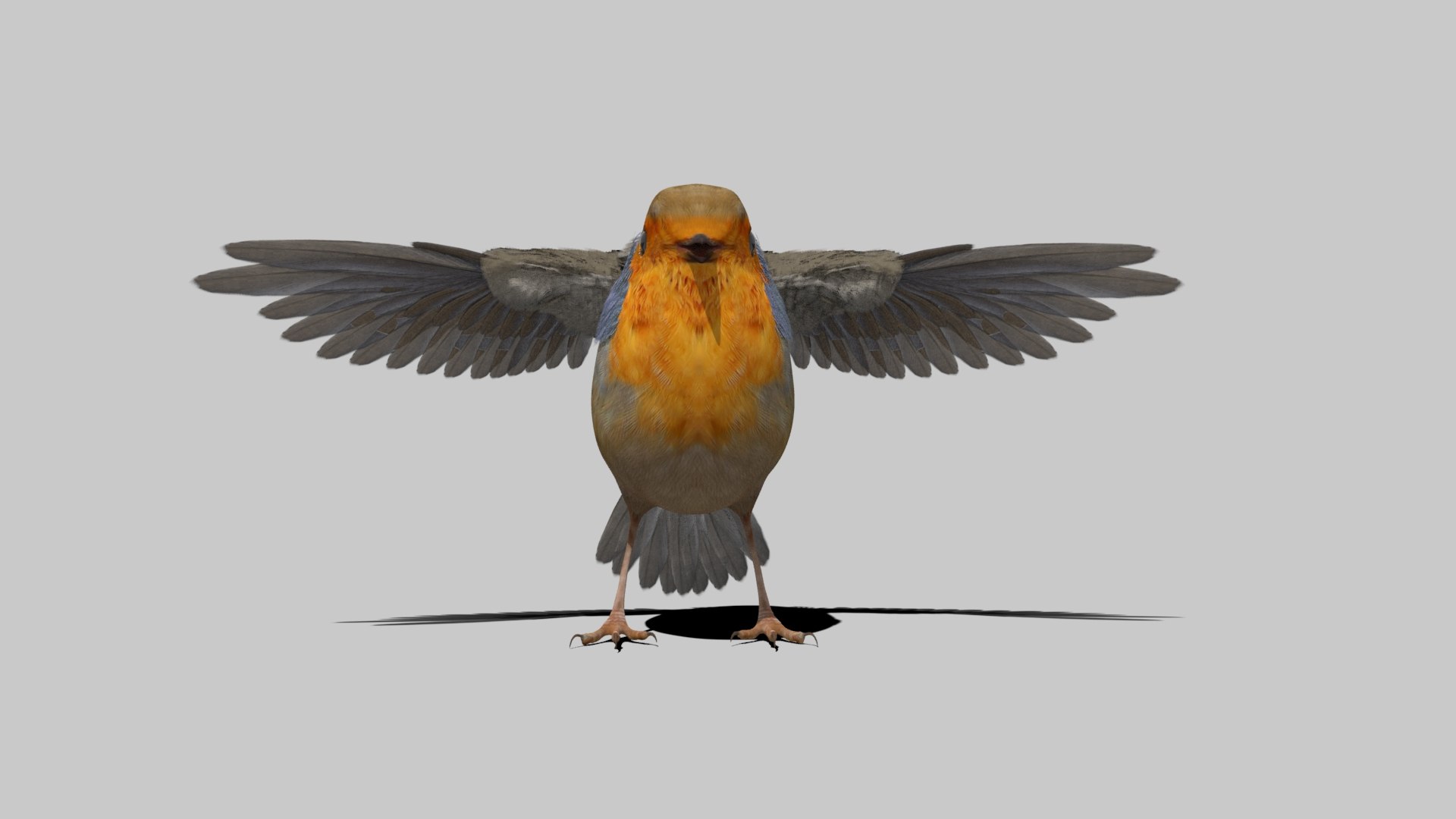 3D EUROPEAN ROBIN CGI BIRD REALISTIC https://p.turbosquid.com/ts-thumb/zX/mZFuAk/wW/r2/jpg/1649553201/1920x1080/fit_q87/b241a33242d7adcde634773fd9dc4c01eaf5c9aa/r2.jpg