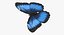 Mariposa Morpho Azul 5 Poses