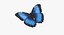 Mariposa Morpho Azul 5 Poses