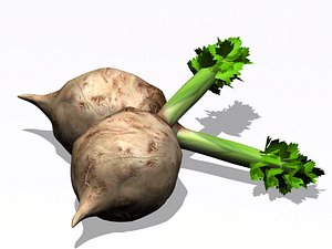 3d model of celery