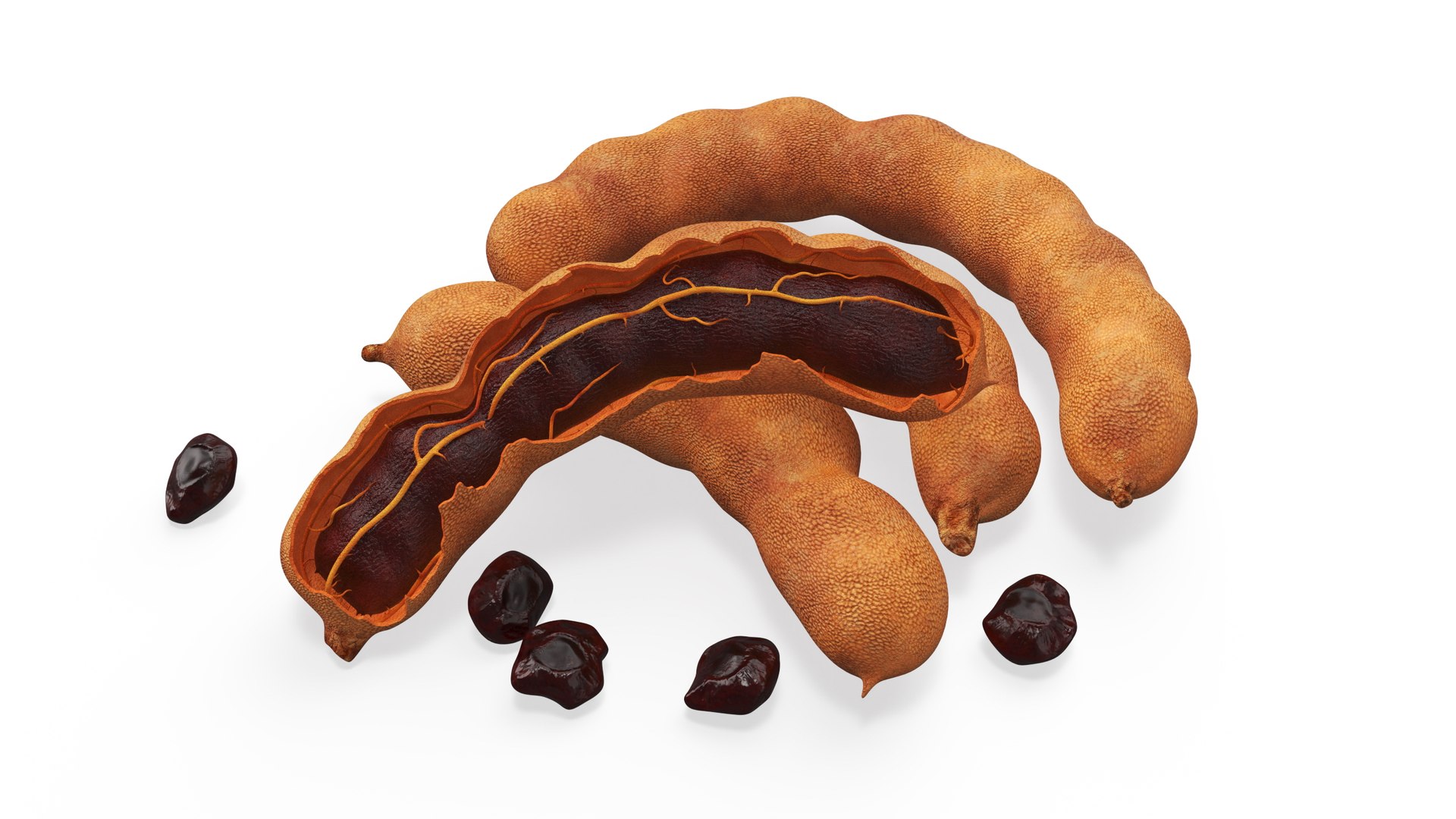 Tamarind Fruits Whole and Opened 3D model preview