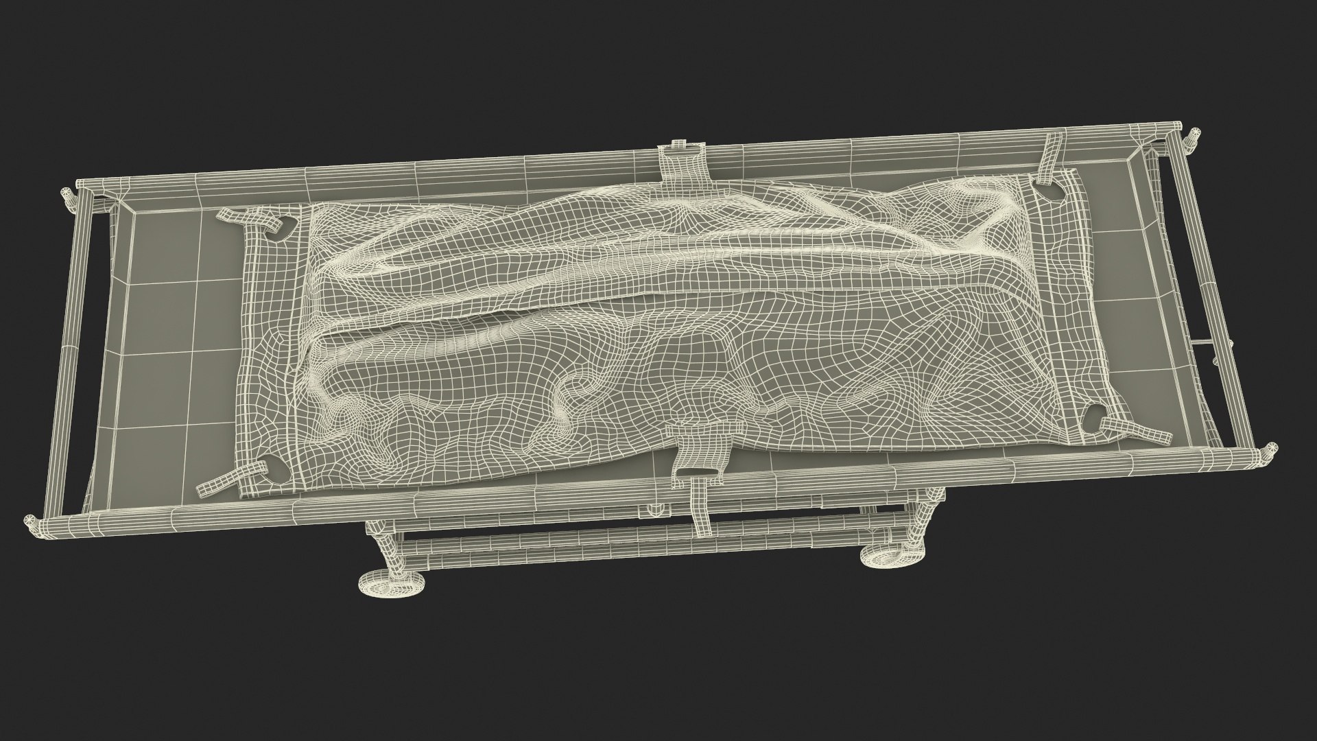 Body Bag on a Hospital Gurney 3D https://p.turbosquid.com/ts-thumb/zY/AvF9IE/ru/bodybagonahospitalgurney3dsmodel035/jpg/1702430039/1920x1080/fit_q87/0ef5b71c694caee0b242a271a345a8891fa567e7/bodybagonahospitalgurney3dsmodel035.jpg