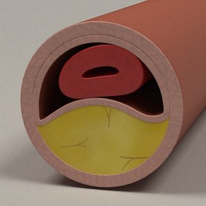 blood vessel 3d model
